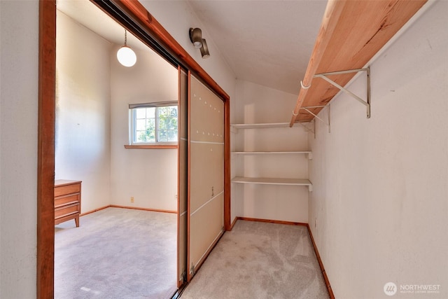 257 Point Brown Ave SW, Ocean Shores, WA 98569 - spacious closet featuring light carpet