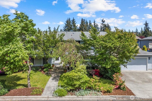 17631 69th Pl W, Edmonds, WA 98026 - view of property hidden behind natural elements with concrete driveway, a front yard, and a garage