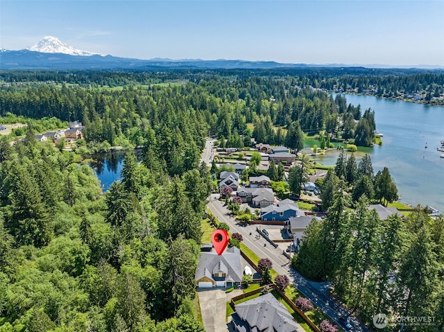 20714 61st St E, Bonney Lake, WA 98391 - aerial view of property's location featuring a heavily wooded area and a water and mountain view