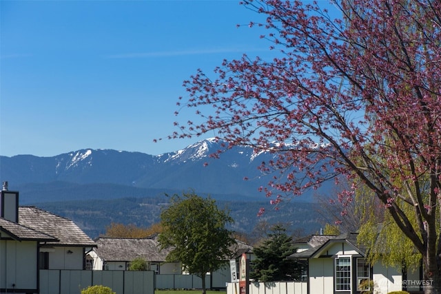 510 Evergreen Farm Way, Sequim, WA 98382 - mountain view