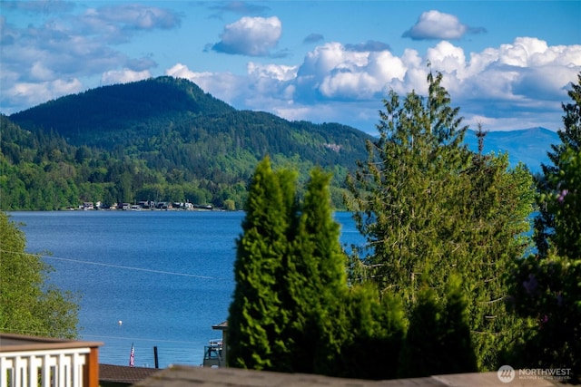 921 Autumn Ln Unit 205, Bellingham, WA 98229 - mountain view featuring a heavily wooded area and a nearby body of water