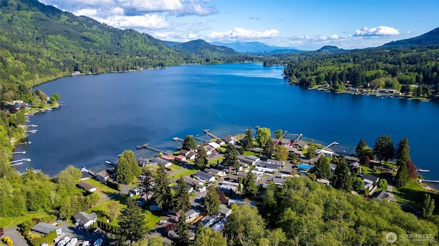 921 Autumn Ln Unit 205, Bellingham, WA 98229 - bird's eye view of a forest and a water and mountain view