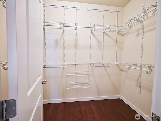 6941 134th Ct SE Unit B, Newcastle, WA 98059 - spacious closet with dark wood finished floors