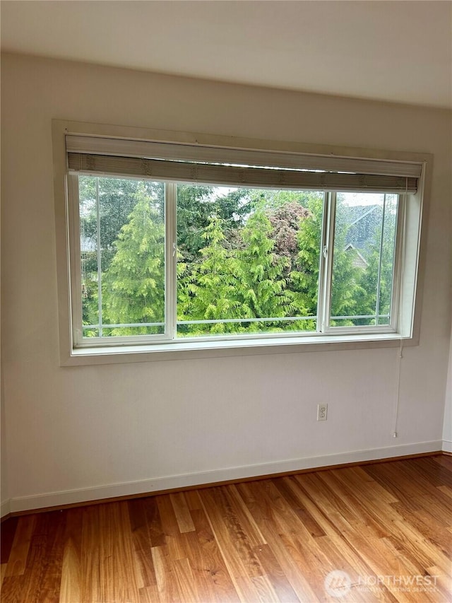 13426 97th Ave E Unit 301, Puyallup, WA 98373 - spare room with baseboards, healthy amount of natural light, and light wood-type flooring