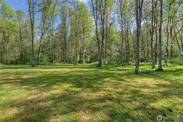 637 Smokey Valley Rd, Toledo, WA 98591 - photo 29
