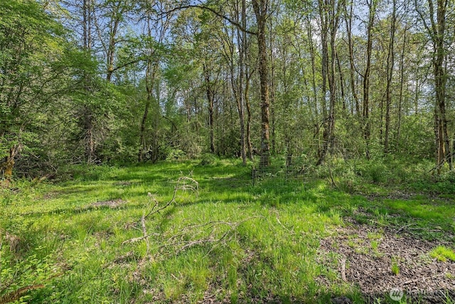637 Smokey Valley Rd, Toledo, WA 98591 - photo 30