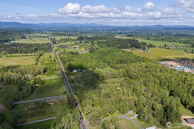 637 Smokey Valley Rd, Toledo, WA 98591 - photo 37