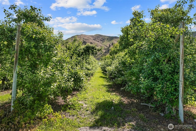 21500 US-97, Orondo, WA 98843 - view of mountain background