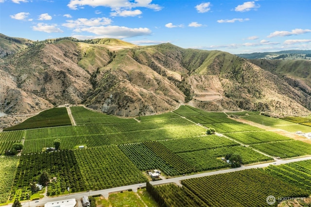 21500 US-97, Orondo, WA 98843 - view of mountain backdrop with large plots for crops and rural landscape