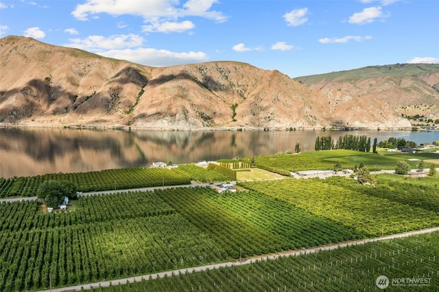 21500 US-97, Orondo, WA 98843 - view of mountain backdrop featuring a large body of water and abundant farmland