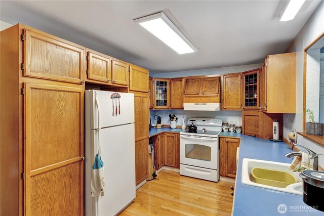10208 28th Ave SW, Seattle, WA 98146 - kitchen featuring white appliances, under cabinet range hood, a sink, light wood-type flooring, and glass insert cabinets