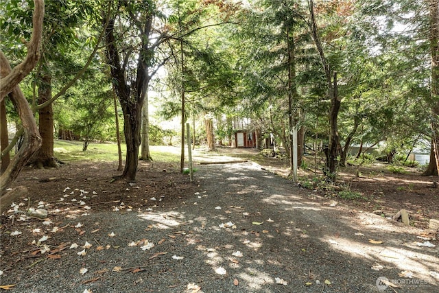 3115 Saratoga Rd, Langley, WA 98260 - view of street