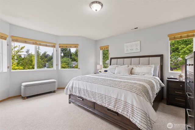 2696 Erwin Ave, Dupont, WA 98327