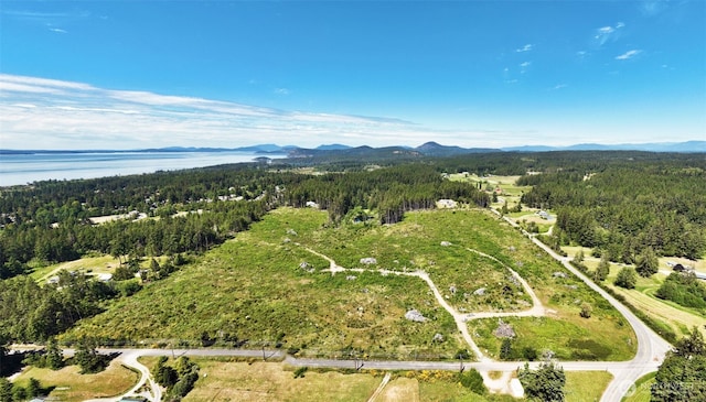 0 Monkey Hill Rd, Oak Harbor, WA 98277 - photo 5