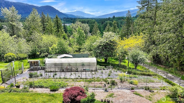 5380 Marshall Hill Rd, Deming, WA 98244 - view of mountain background featuring a heavily wooded area