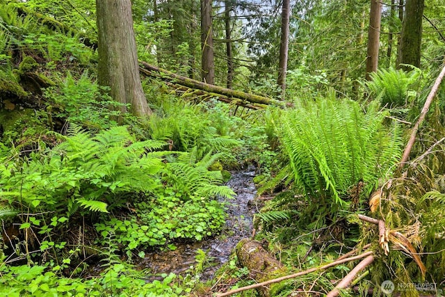 5380 Marshall Hill Rd, Deming, WA 98244 - view of nature