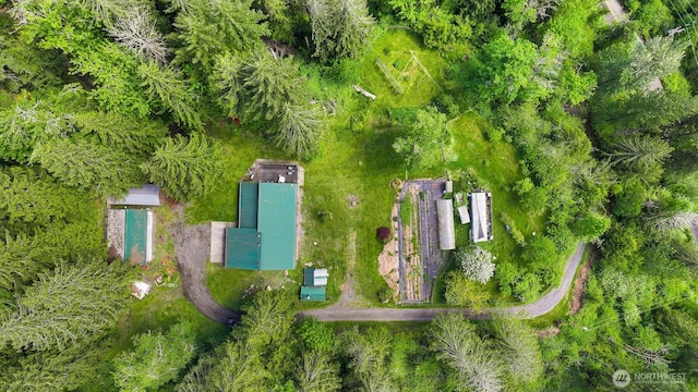 5380 Marshall Hill Rd, Deming, WA 98244 - drone / aerial view