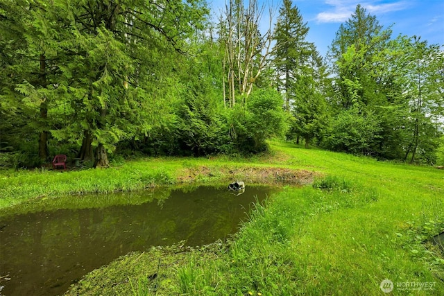5380 Marshall Hill Rd, Deming, WA 98244 - view of yard