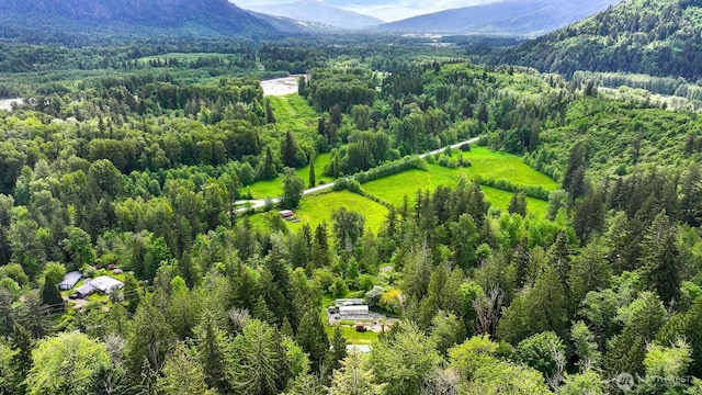 5380 Marshall Hill Rd, Deming, WA 98244 - bird's eye view of a forest and a mountain backdrop