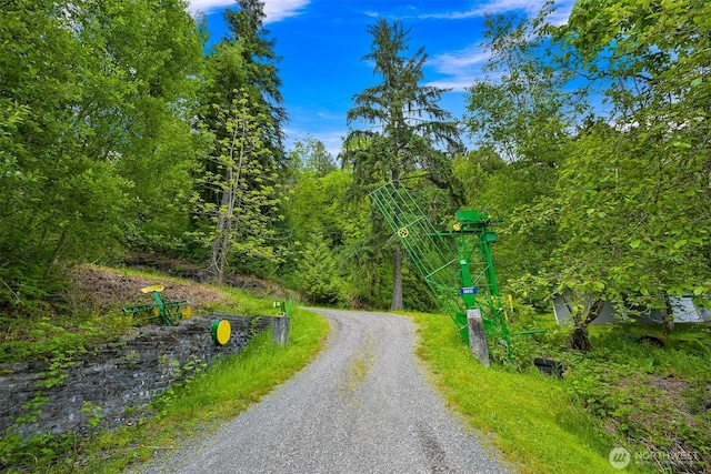 5380 Marshall Hill Rd, Deming, WA 98244 - view of dirt / gravel road