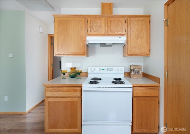161 W Whidbey Ave Unit 4, Oak Harbor, WA 98277 - kitchen with white electric range oven, under cabinet range hood, light countertops, and wood finished floors
