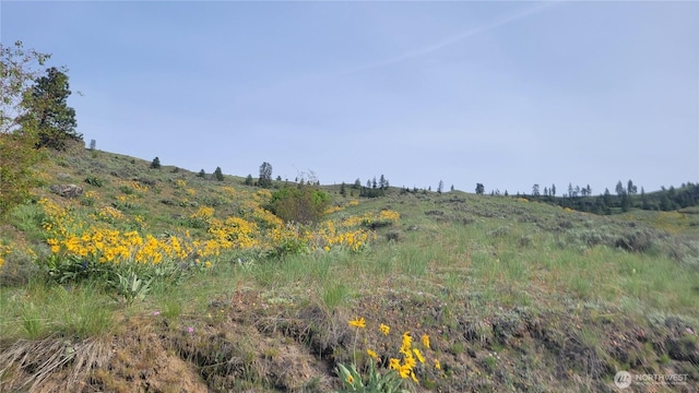 0 Coyotes Curve Rd, Orondo, WA 98843 - photo 3