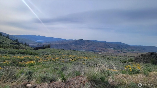 0 Coyotes Curve Rd, Orondo, WA 98843 - photo 4