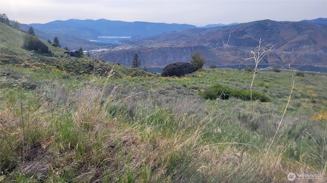 0 Coyotes Curve Rd, Orondo, WA 98843 - photo 5