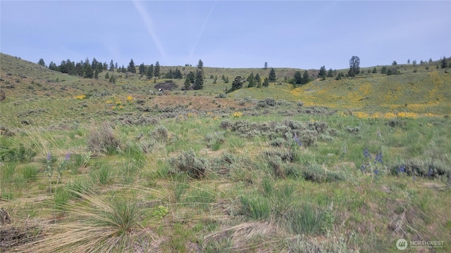 0 Coyotes Curve Rd, Orondo, WA 98843 - photo 6