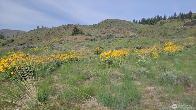0 Coyotes Curve Rd, Orondo, WA 98843 - photo 7