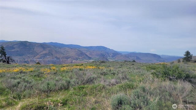 0 Coyotes Curve Rd, Orondo, WA 98843 - photo 8
