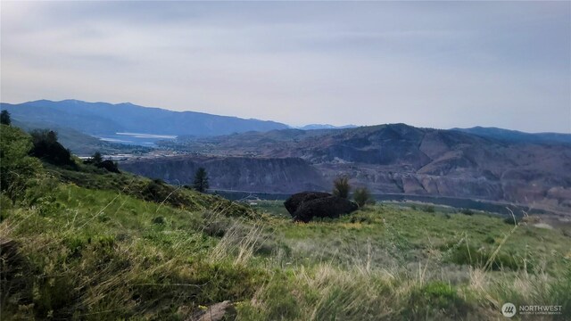 0 Coyotes Curve Rd, Orondo, WA 98843 - photo 9