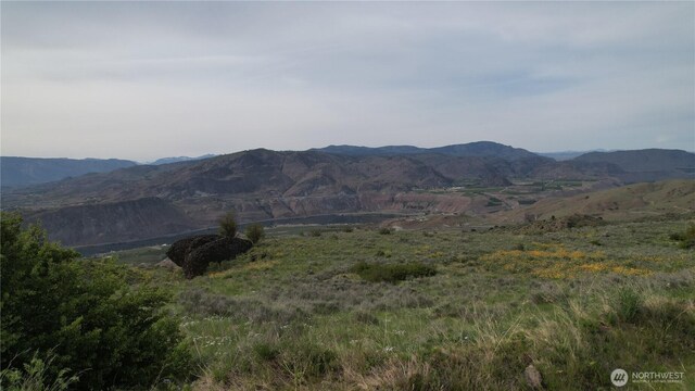 0 Coyotes Curve Rd, Orondo, WA 98843 - photo 14