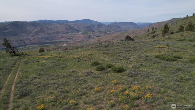 0 Coyotes Curve Rd, Orondo, WA 98843 - photo 15