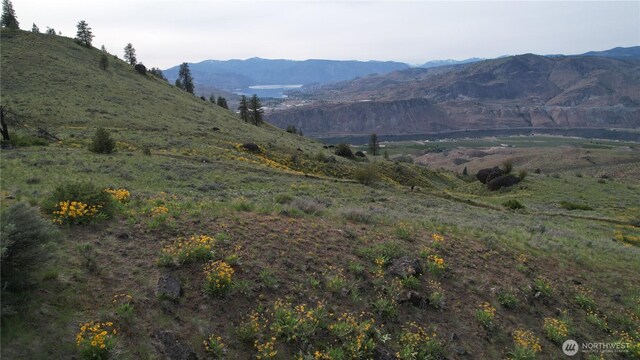 0 Coyotes Curve Rd, Orondo, WA 98843 - photo 16
