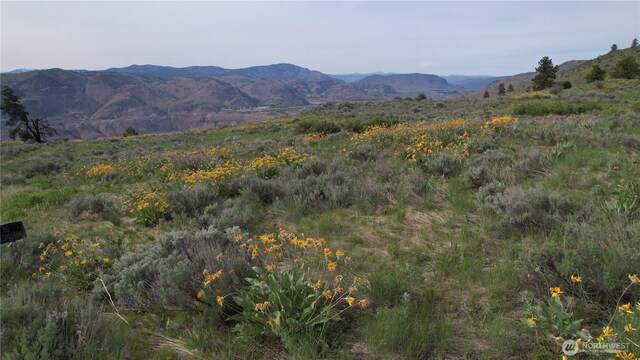 0 Coyotes Curve Rd, Orondo, WA 98843 - photo 17
