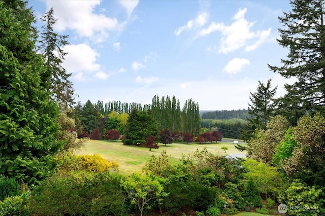 5427 Bayview Rd, Langley, WA 98260 - photo 23
