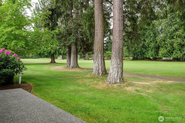 113 Fairway Dr, Sequim, WA 98382 - photo 33
