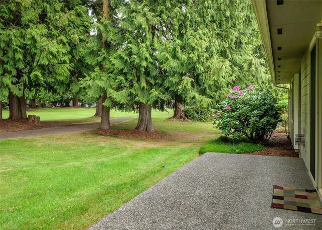113 Fairway Dr, Sequim, WA 98382 - photo 34