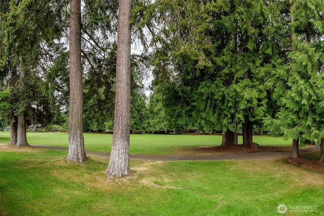 113 Fairway Dr, Sequim, WA 98382 - photo 35