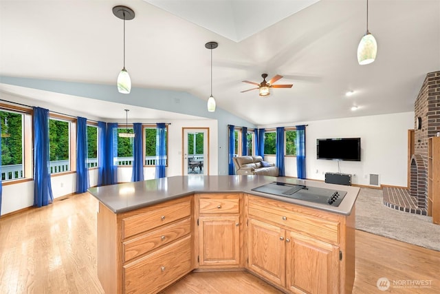 8061 Niska Rd, Blaine, WA 98230 - kitchen with lofted ceiling, open floor plan, ceiling fan, light wood-type flooring, and black electric cooktop