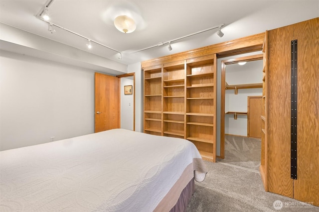 8061 Niska Rd, Blaine, WA 98230 - bedroom featuring rail lighting and carpet flooring