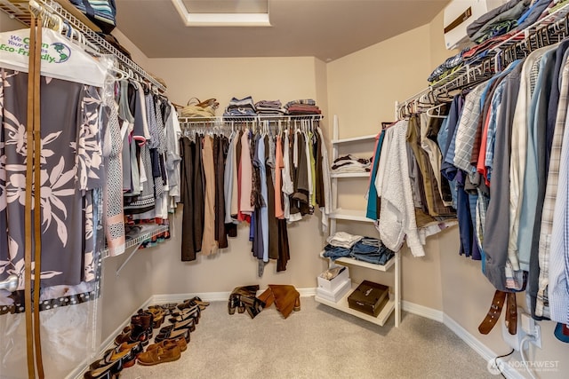 30630 122nd Ave SE, Auburn, WA 98092 - walk in closet with attic access and carpet flooring