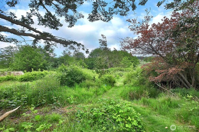 0 E Farmington Dr, Greenbank, WA 98253 - photo 20