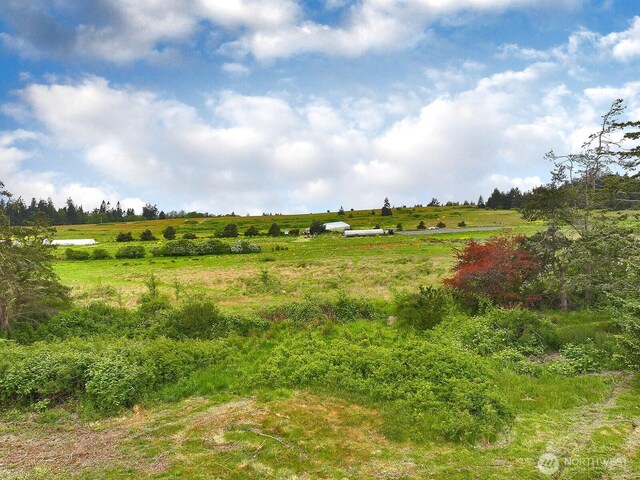 0 E Farmington Dr, Greenbank, WA 98253 - photo 11