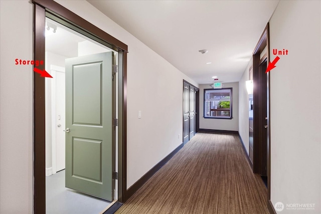 21307 48th Ave W Unit C206, Mountlake Terrace, WA 98043 - hallway featuring baseboards and carpet flooring