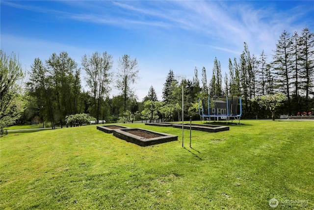 16015 Lange Rd, Mount Vernon, WA 98273 - view of property's community featuring a trampoline and a yard