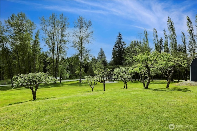 16015 Lange Rd, Mount Vernon, WA 98273 - view of community featuring a yard