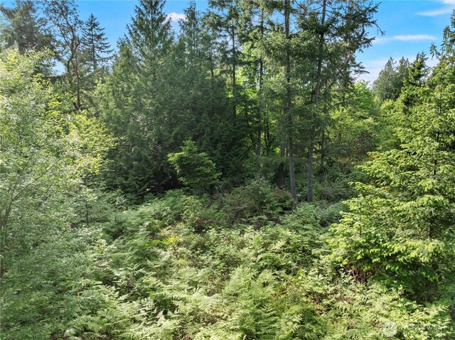 0 58th Ave NW, Gig Harbor, WA 98332 - photo 5