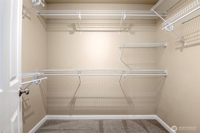 7628 Kodiak Ave NE, Lacey, WA 98516 - spacious closet with carpet